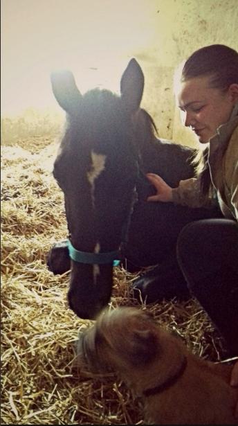 Oldenborg Matinique af strandhøjgaard billede 3