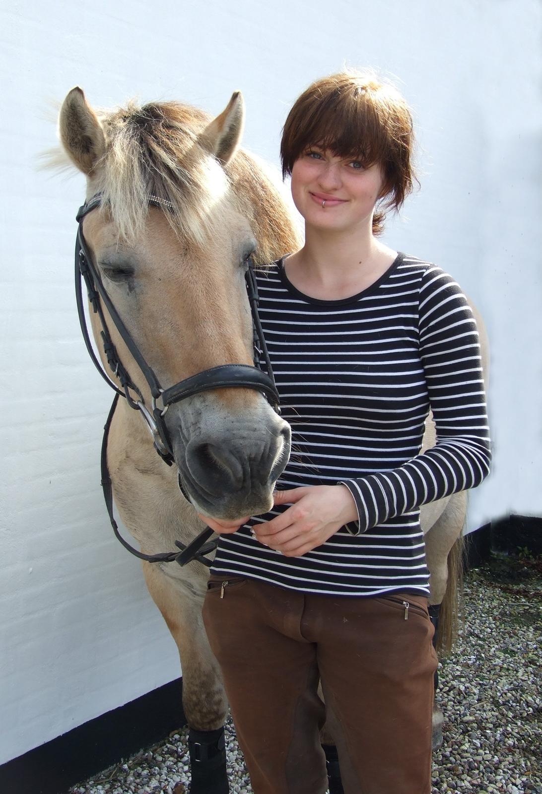 Fjordhest Bjarke Sax - Han har godt nok lukkede øjne, men synes alligevel det er et sødt billede af os <3 billede 12