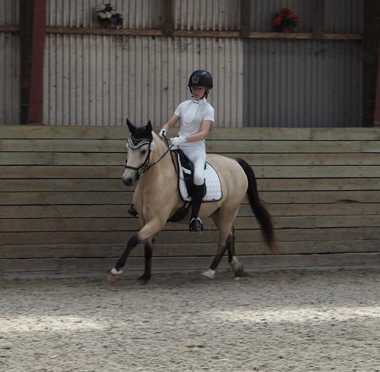 DSP Korreborg's chablis billede 1