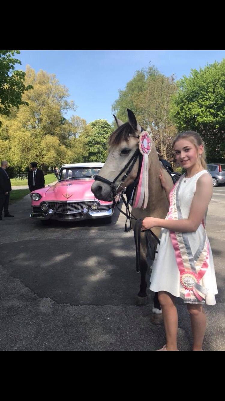 DSP Korreborg's chablis billede 2