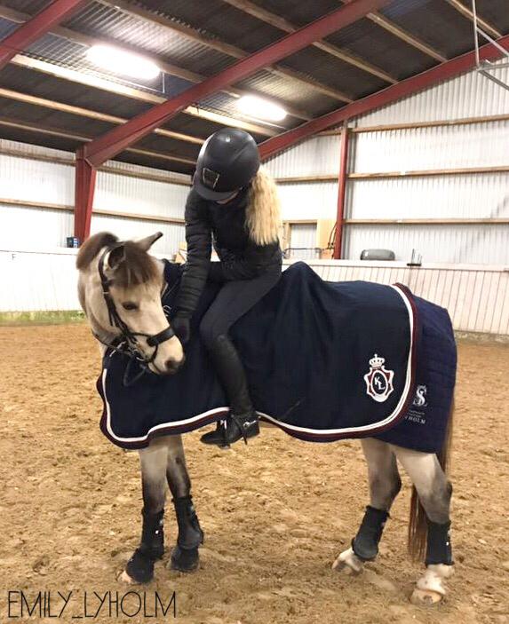 DSP Korreborg's chablis billede 5