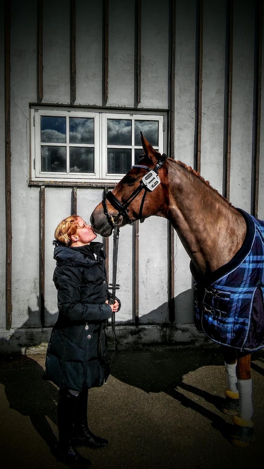 Anden særlig race Cassiopeia Star (Reba) (R.I.P.) - Til stævne i Ladelund Rideklub :D billede 14