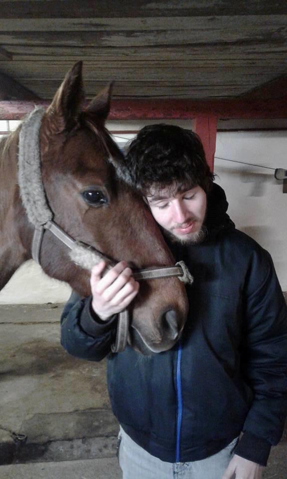 Dansk Varmblod Sam-l (Part) billede 5