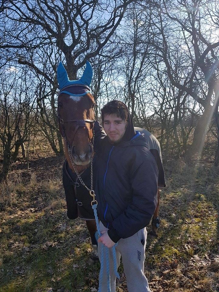 Dansk Varmblod Sam-l (Part) billede 8