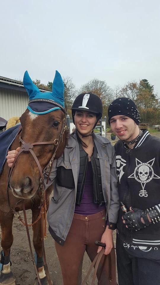 Dansk Varmblod Sam-l (Part) billede 6