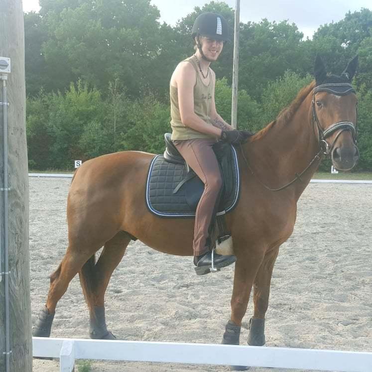 Dansk Varmblod Sam-l (Part) billede 9