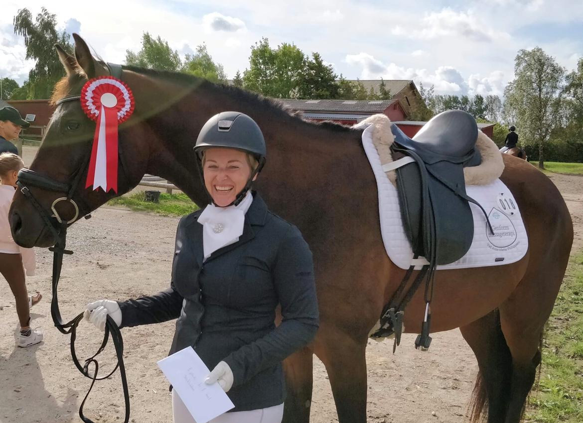 Dansk Varmblod Farmand's Premiere billede 6