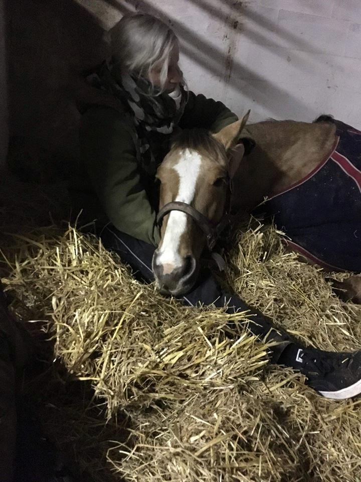 Anden særlig race Ayoe billede 6