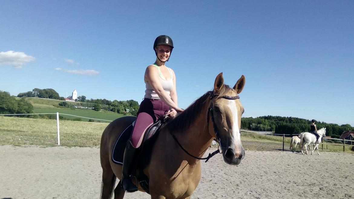 Anden særlig race Ayoe billede 11