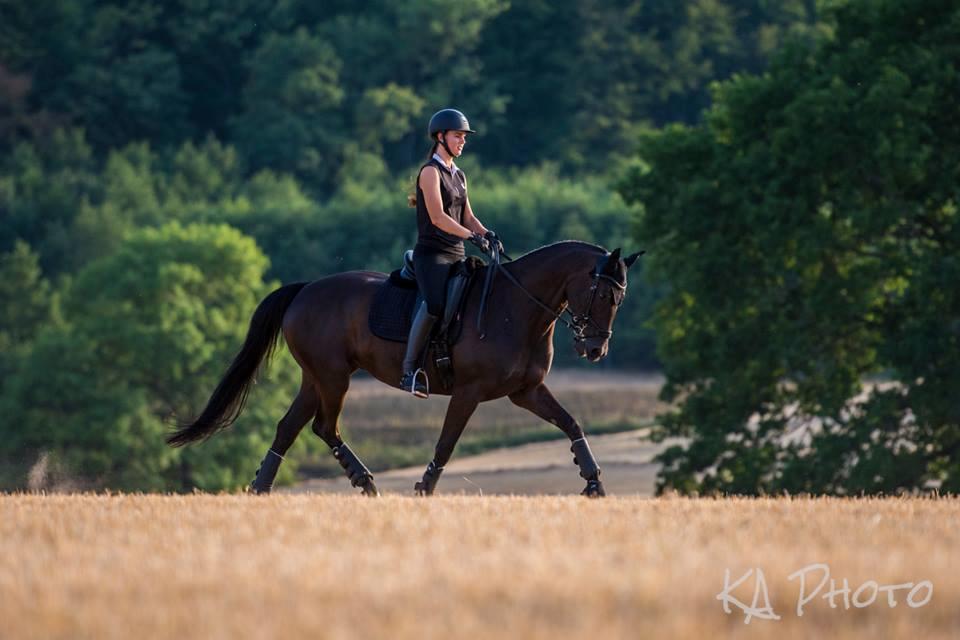 Trakehner EGATTA - Summer times <3 Fotograf: KAphoto billede 3