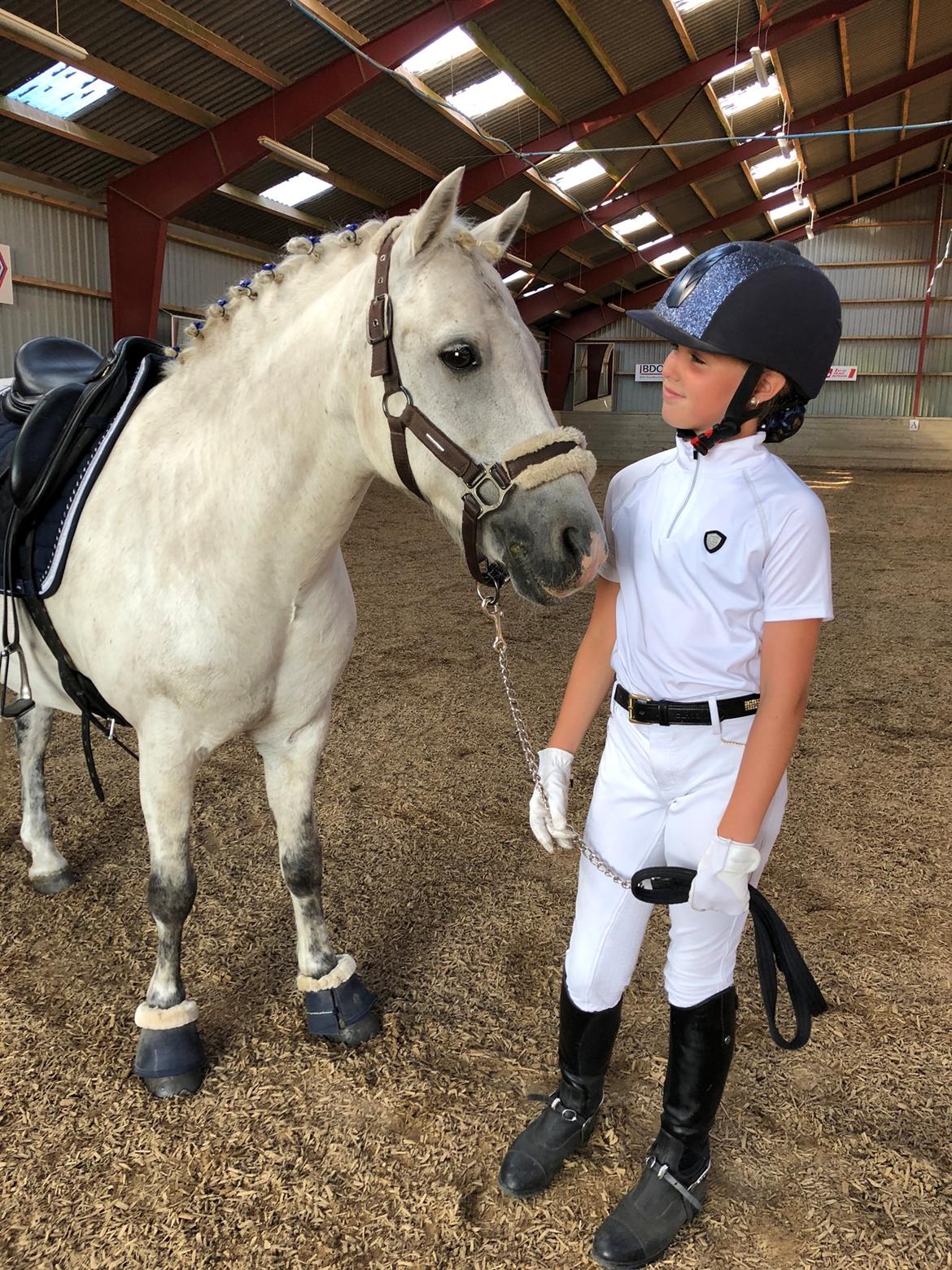 Welsh Pony (sec B) Bakkegaarden's Sputnik billede 2