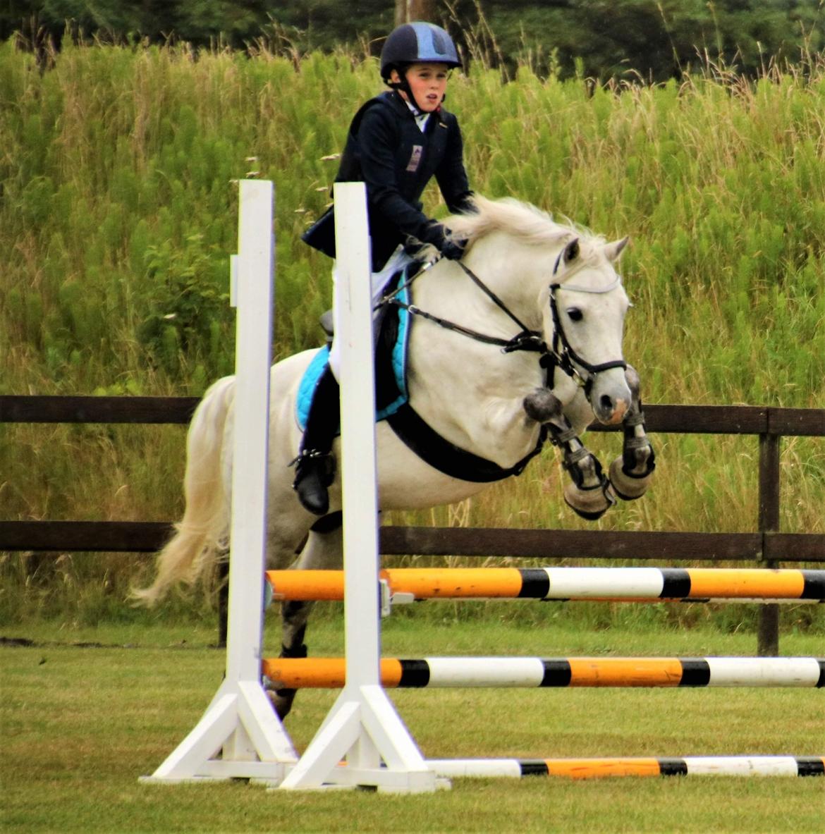 Welsh Pony (sec B) Bakkegaarden's Sputnik billede 3