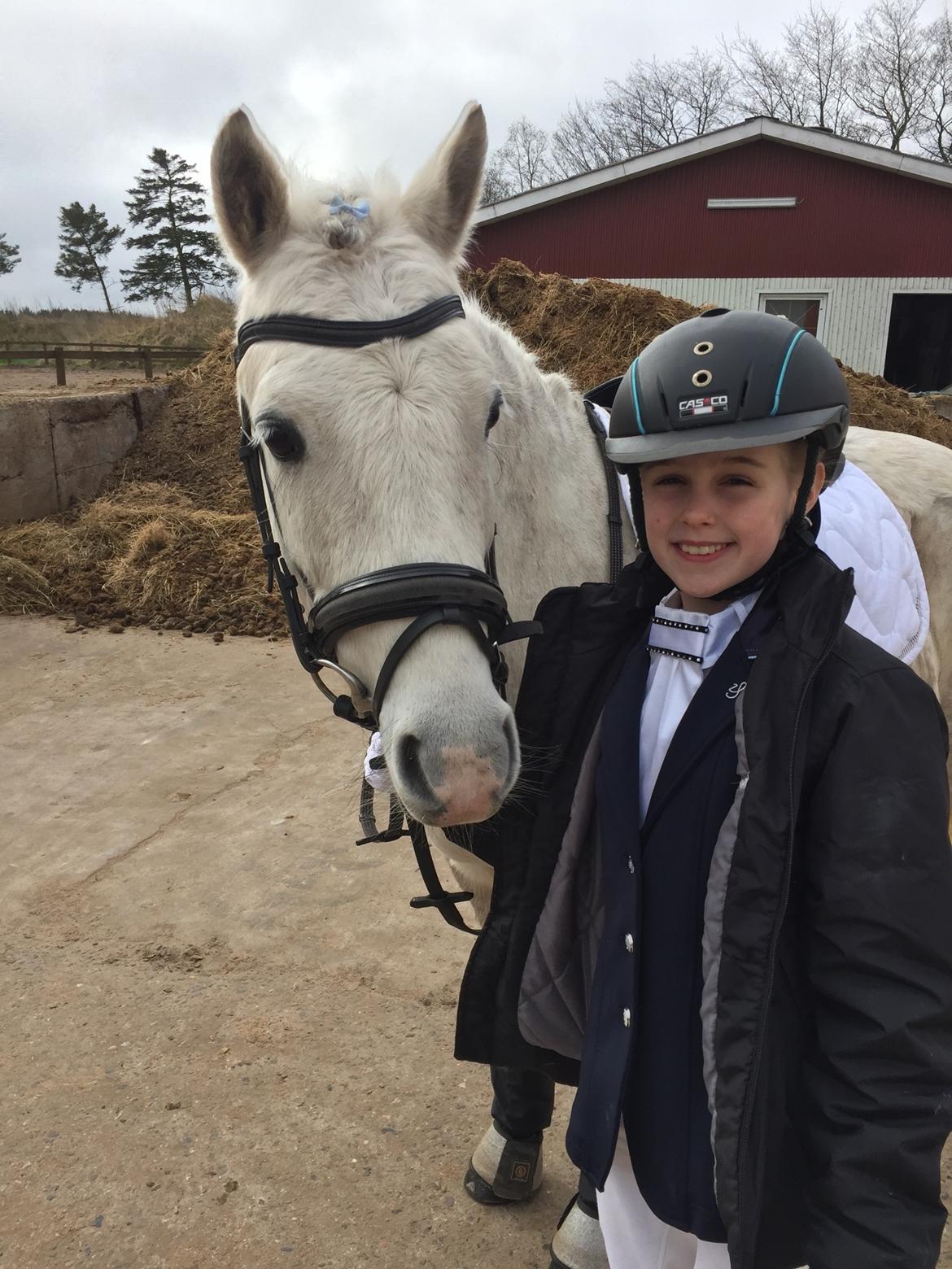 Welsh Pony (sec B) Bakkegaarden's Sputnik billede 7