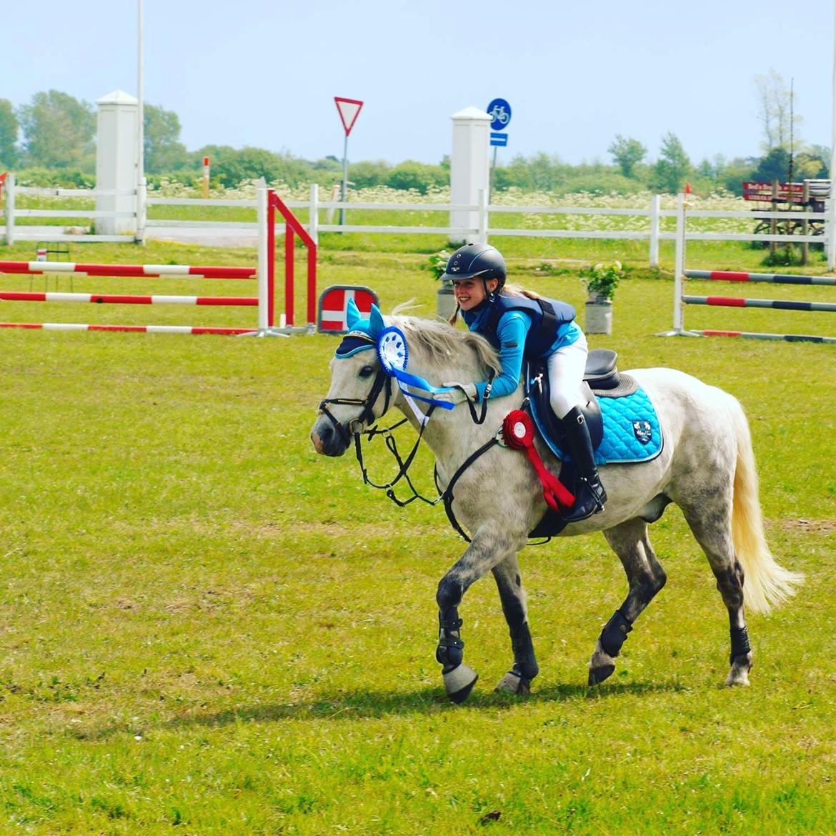 Welsh Pony (sec B) Bakkegaarden's Sputnik billede 6