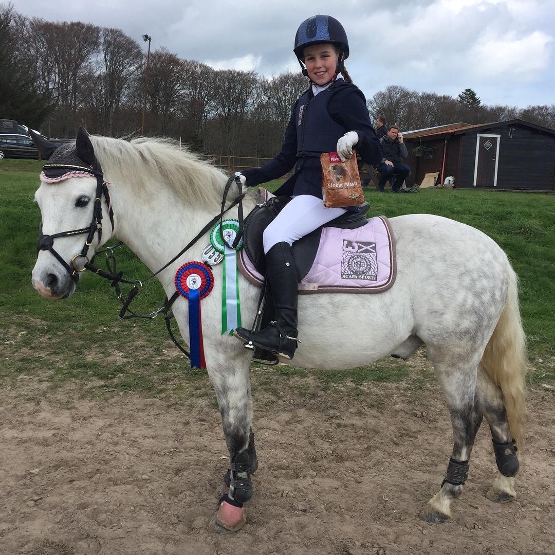 Welsh Pony (sec B) Bakkegaarden's Sputnik billede 8