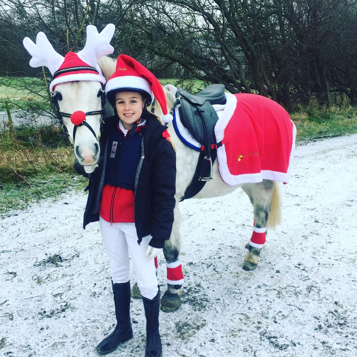 Welsh Pony (sec B) Bakkegaarden's Sputnik billede 11