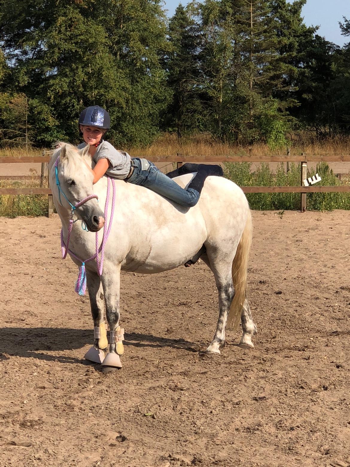 Welsh Pony (sec B) Bakkegaarden's Sputnik billede 20