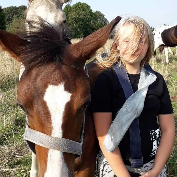 Pinto Søgårds Little Dark Pride  billede 6