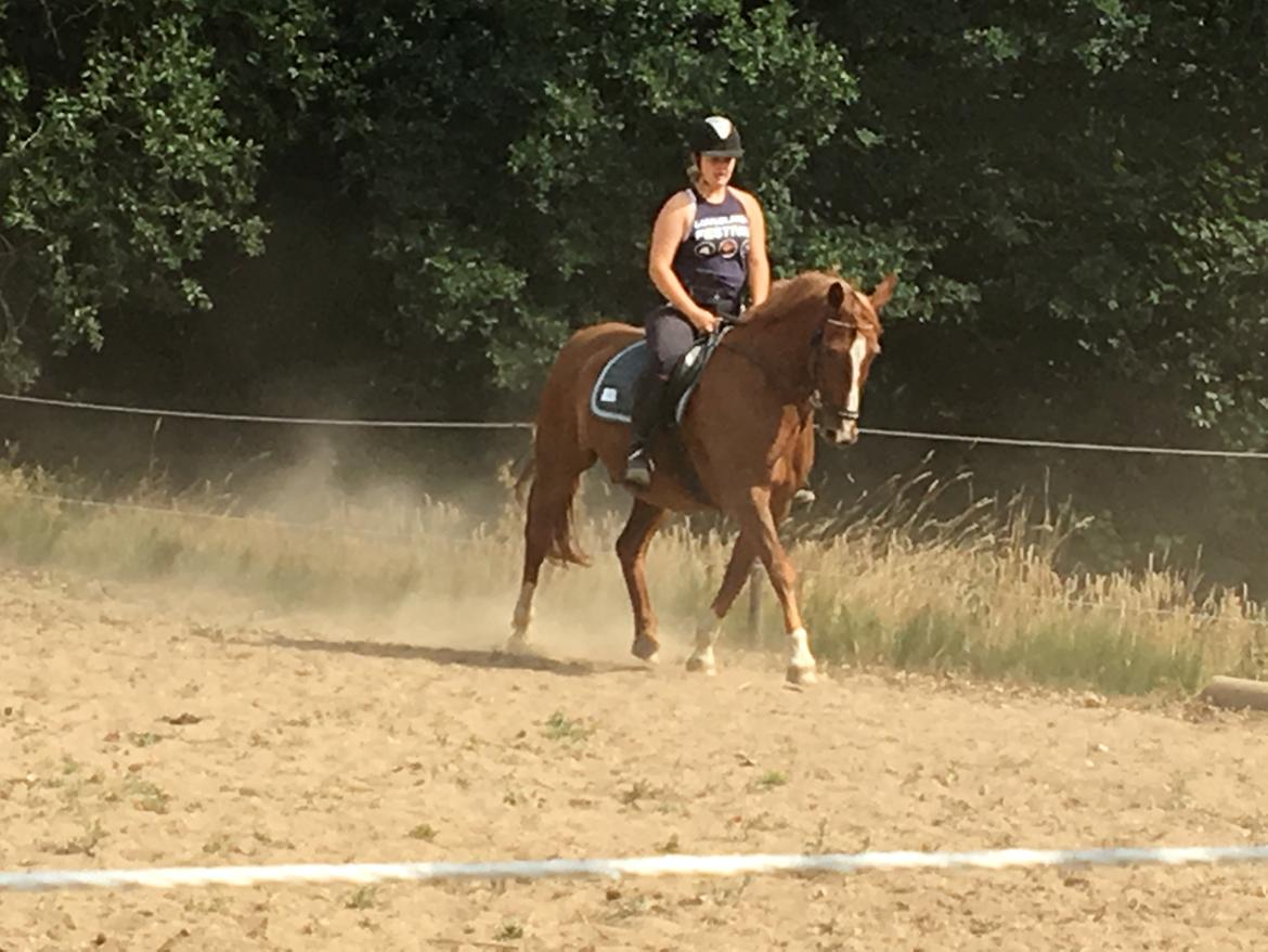 Frederiksborg Casio - somemr 2018 billede 14