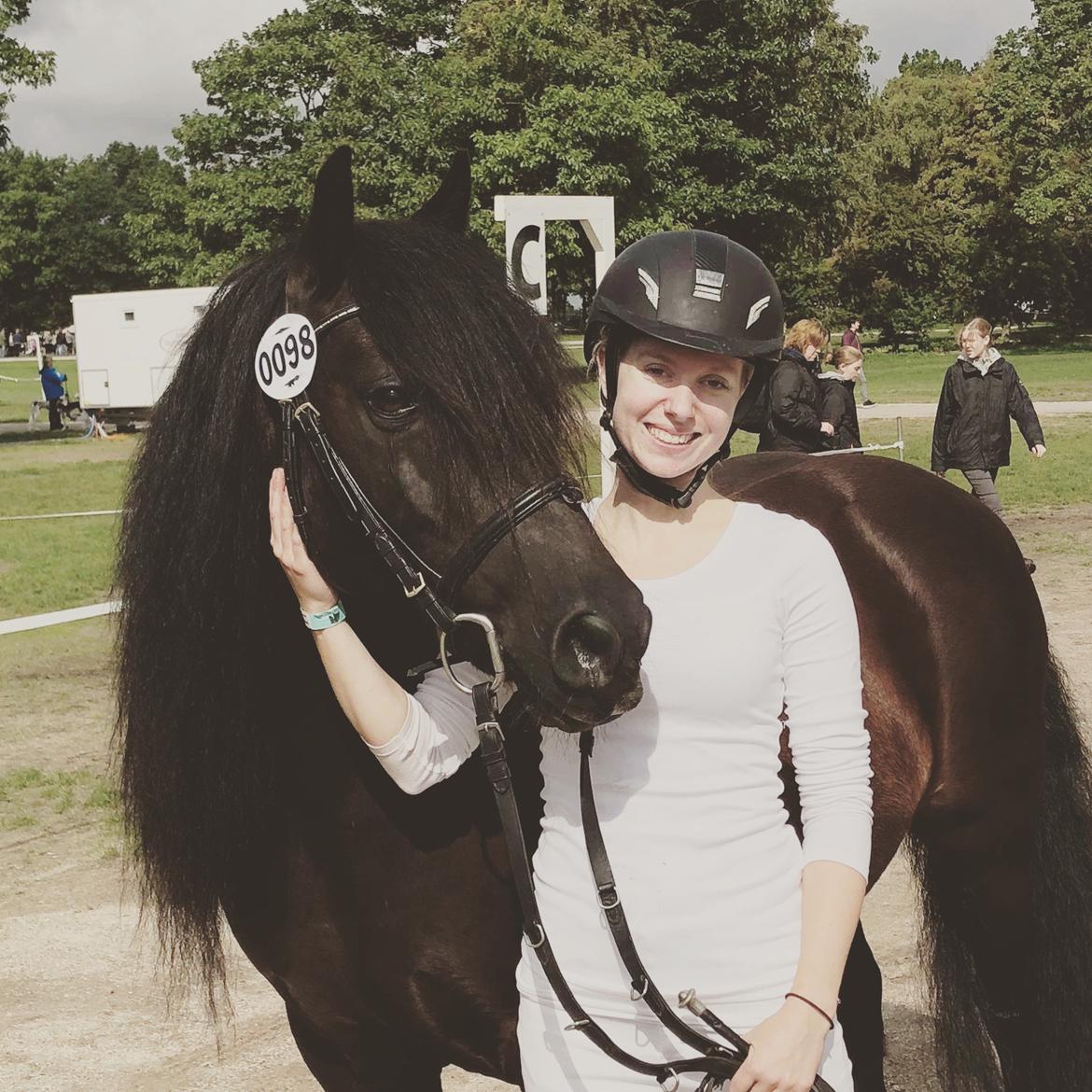 Fell pony - Hollyhouse Bracken (Bob) † billede 5