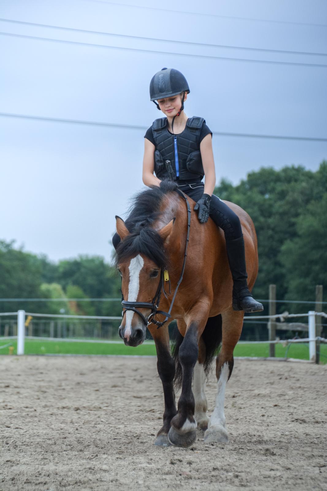 Anden særlig race Corna Sarah billede 2