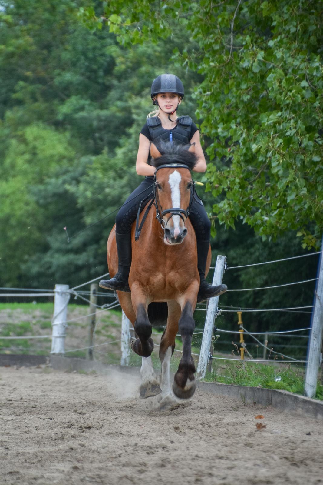 Anden særlig race Corna Sarah billede 4