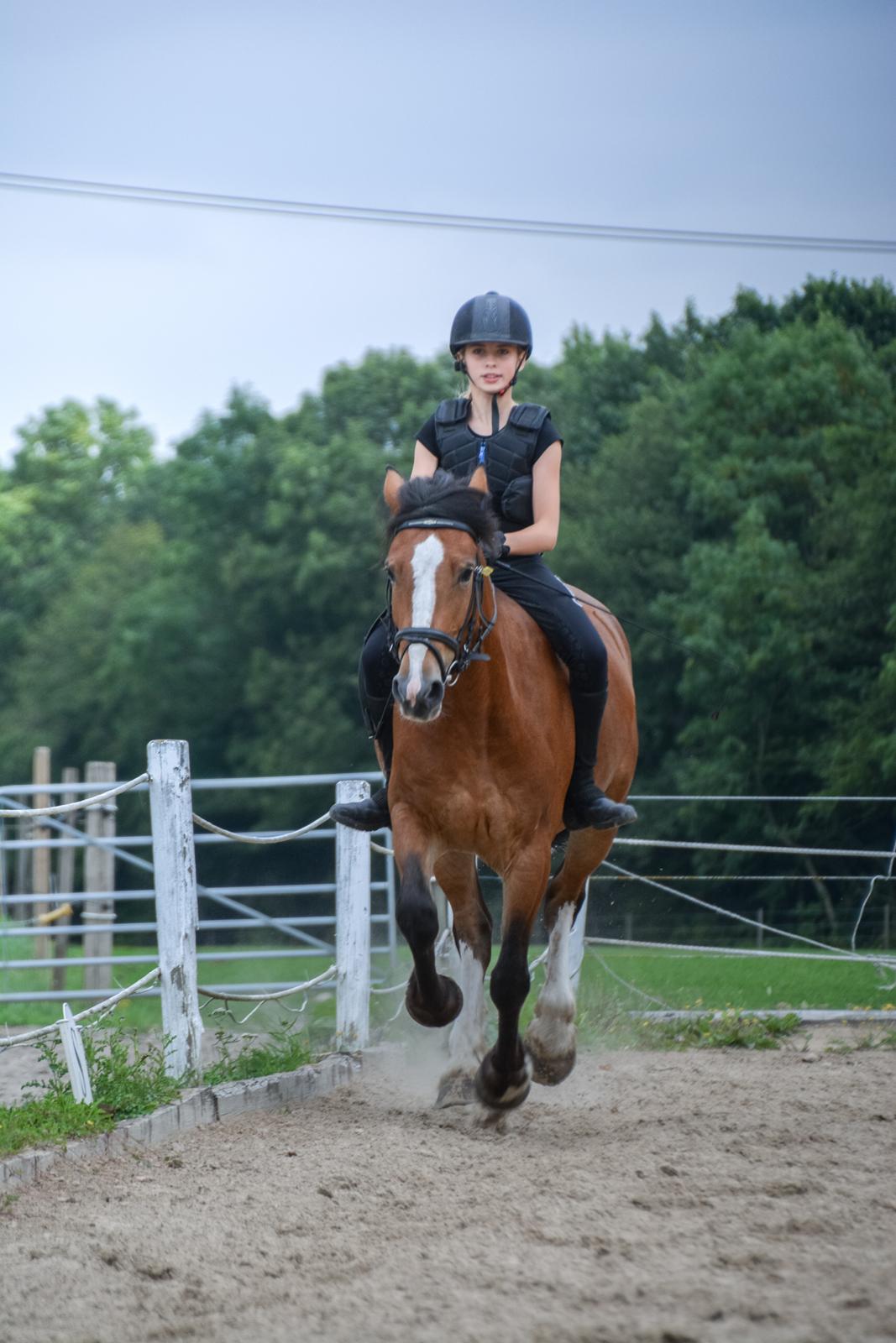 Anden særlig race Corna Sarah billede 5