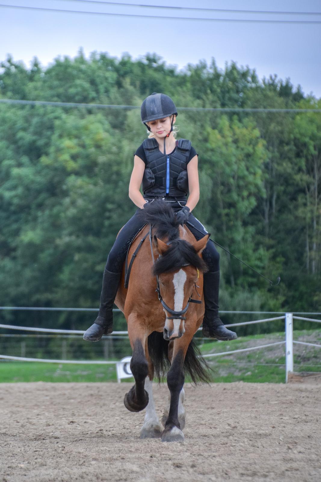 Anden særlig race Corna Sarah billede 6