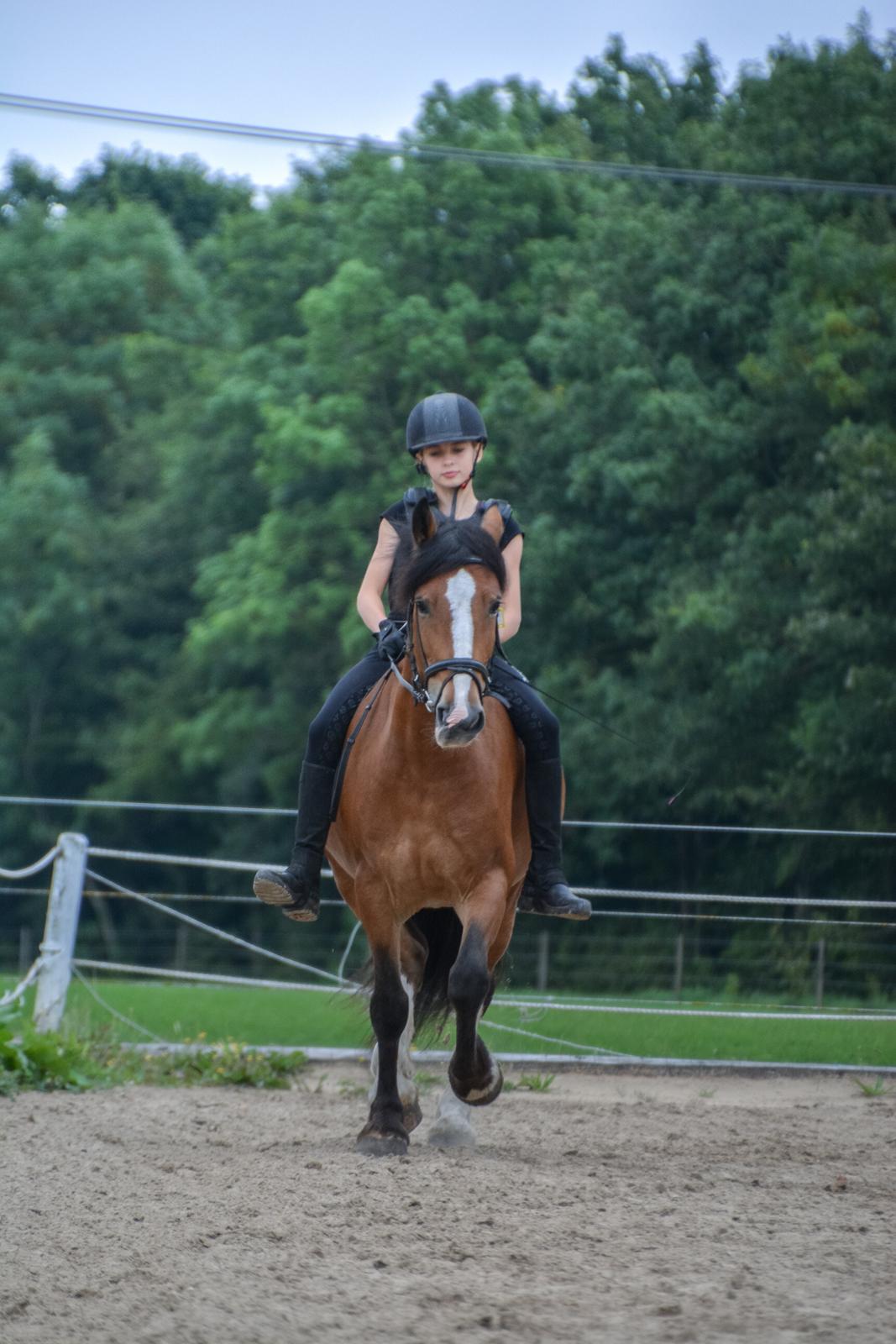 Anden særlig race Corna Sarah billede 7