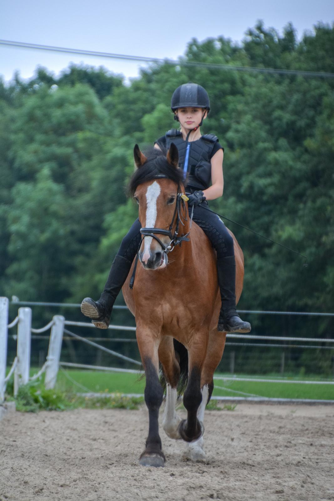 Anden særlig race Corna Sarah billede 8