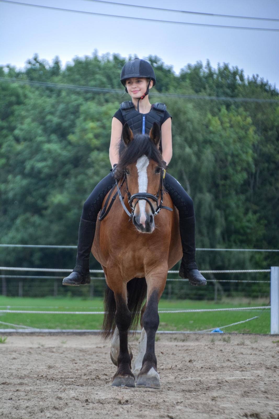 Anden særlig race Corna Sarah billede 9