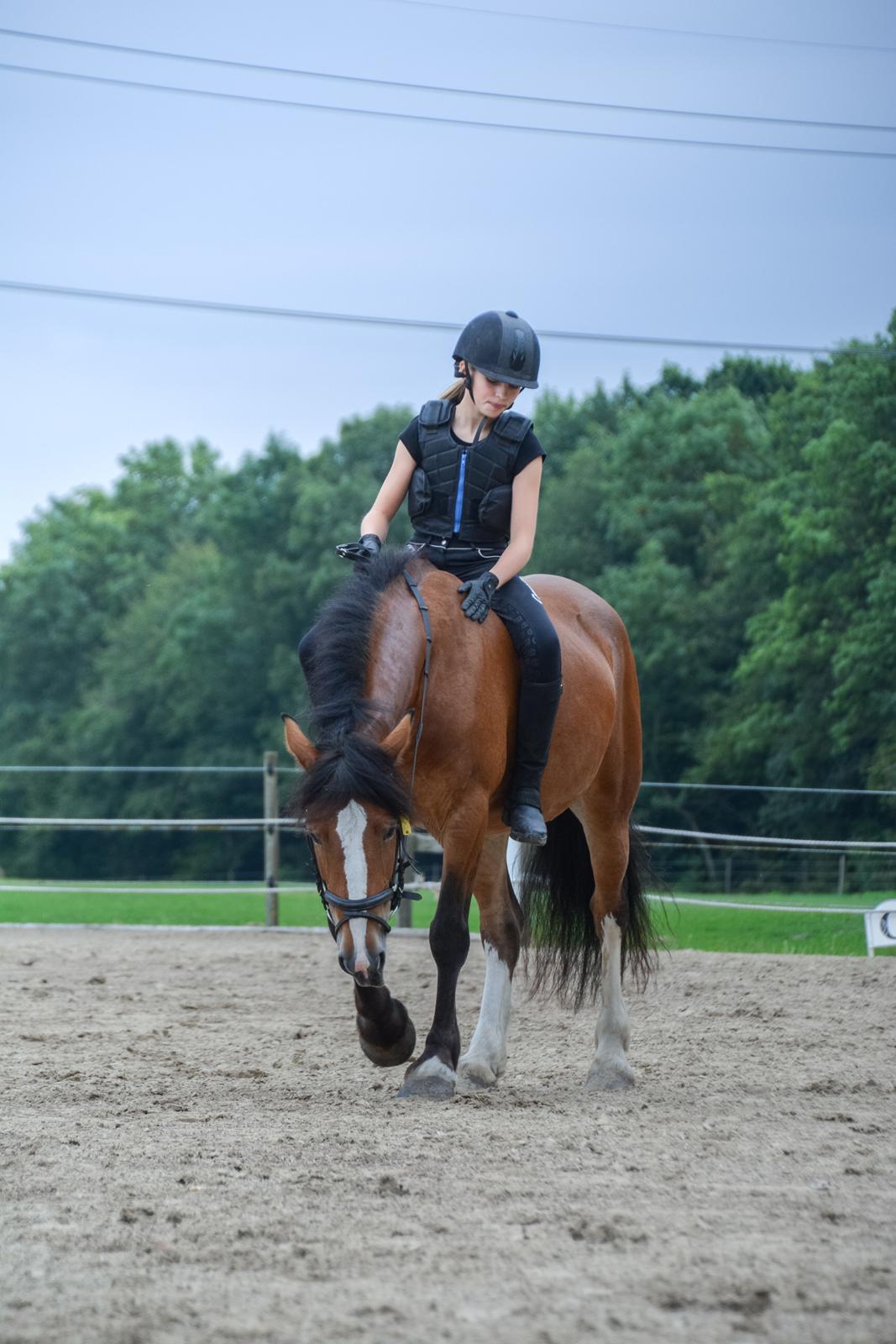 Anden særlig race Corna Sarah billede 3