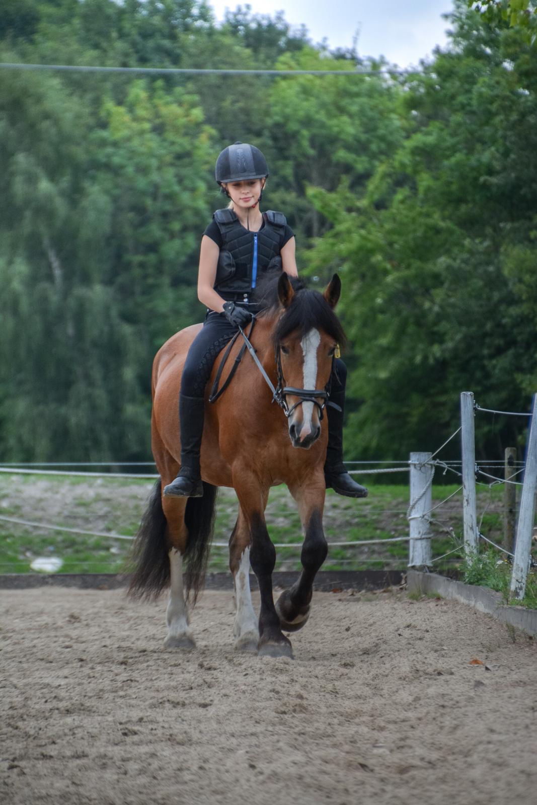 Anden særlig race Corna Sarah billede 11