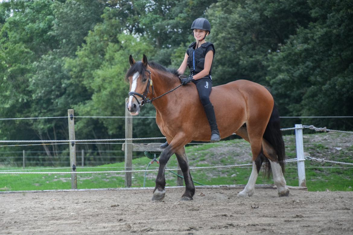 Anden særlig race Corna Sarah billede 10
