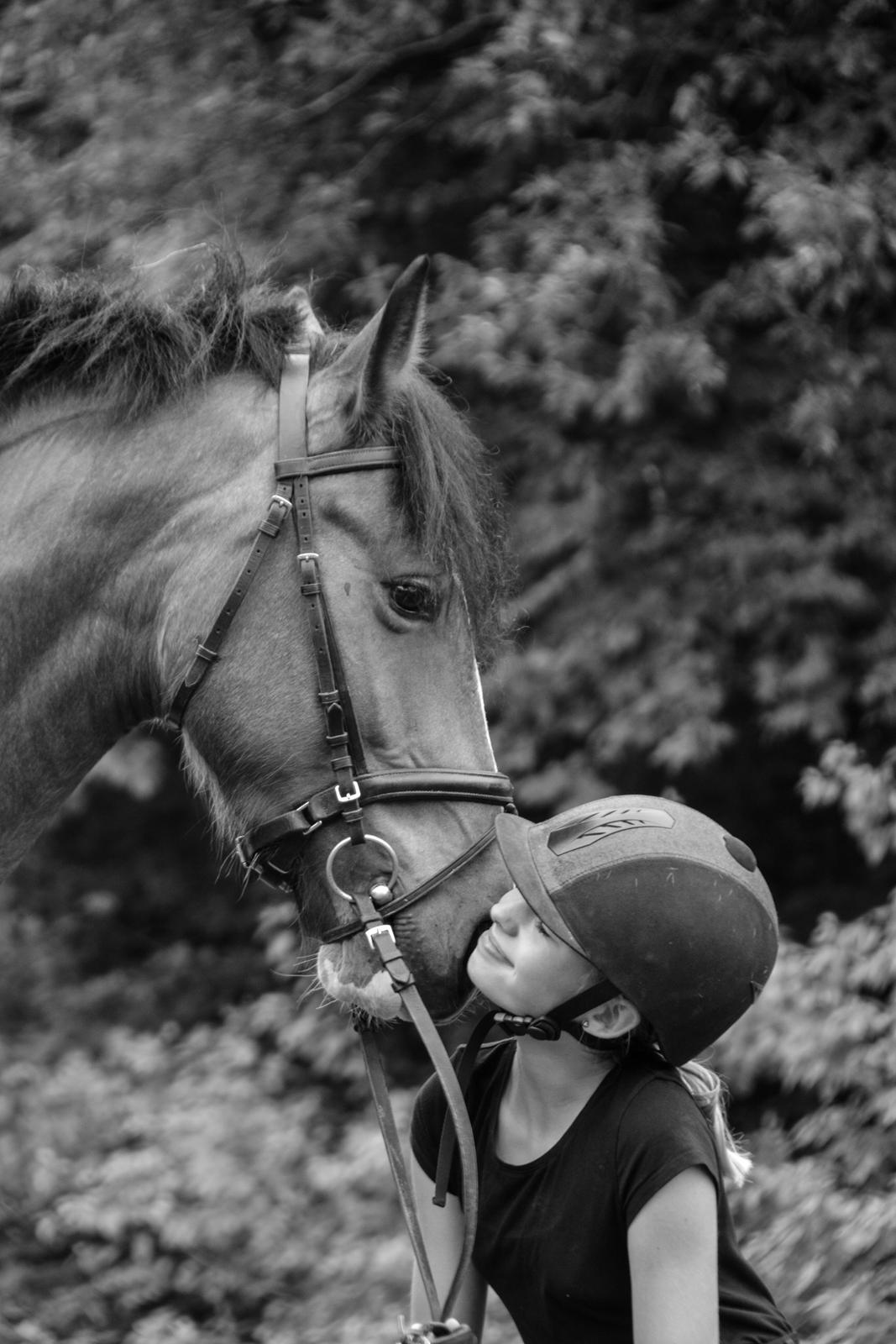 Anden særlig race Corna Sarah billede 13