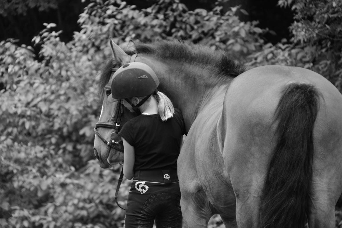 Anden særlig race Corna Sarah billede 14