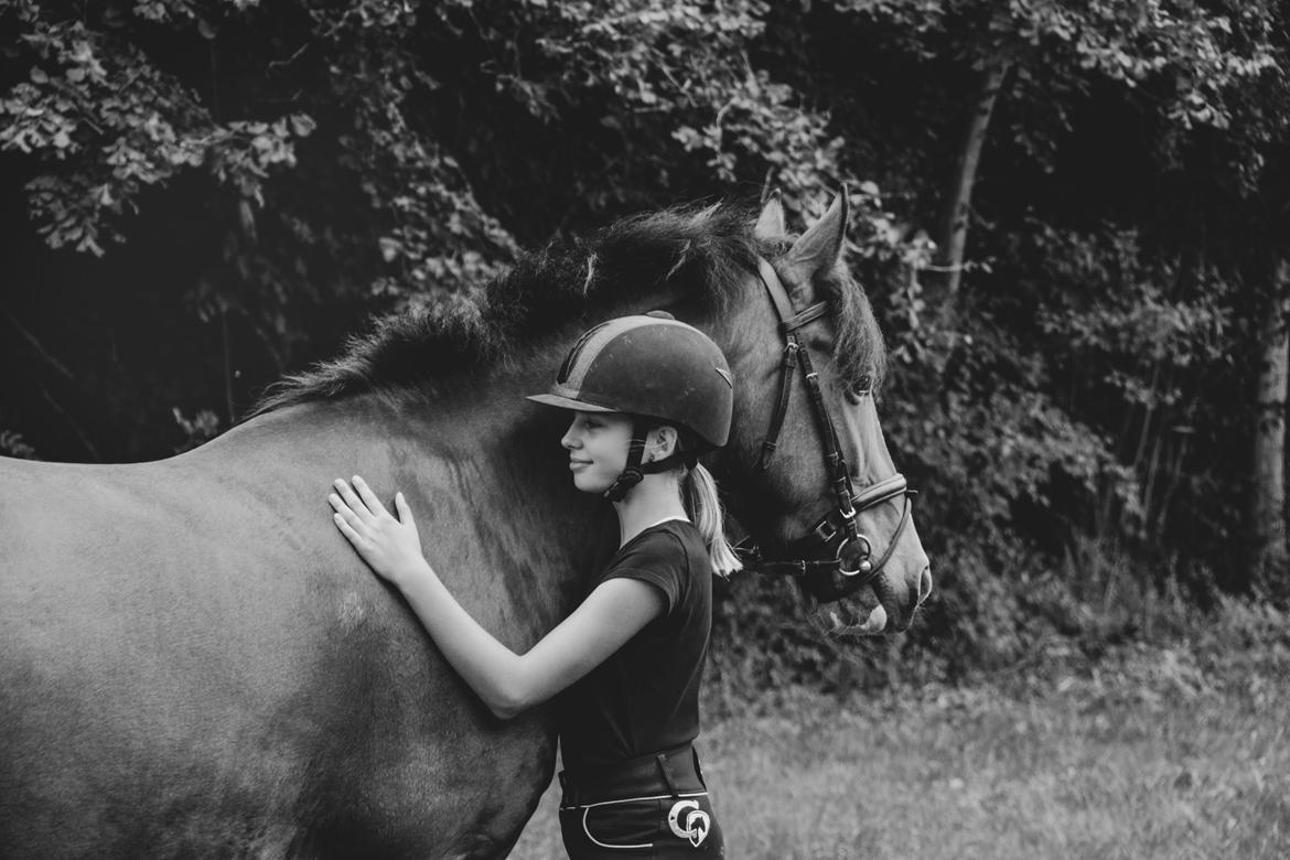 Anden særlig race Corna Sarah billede 12