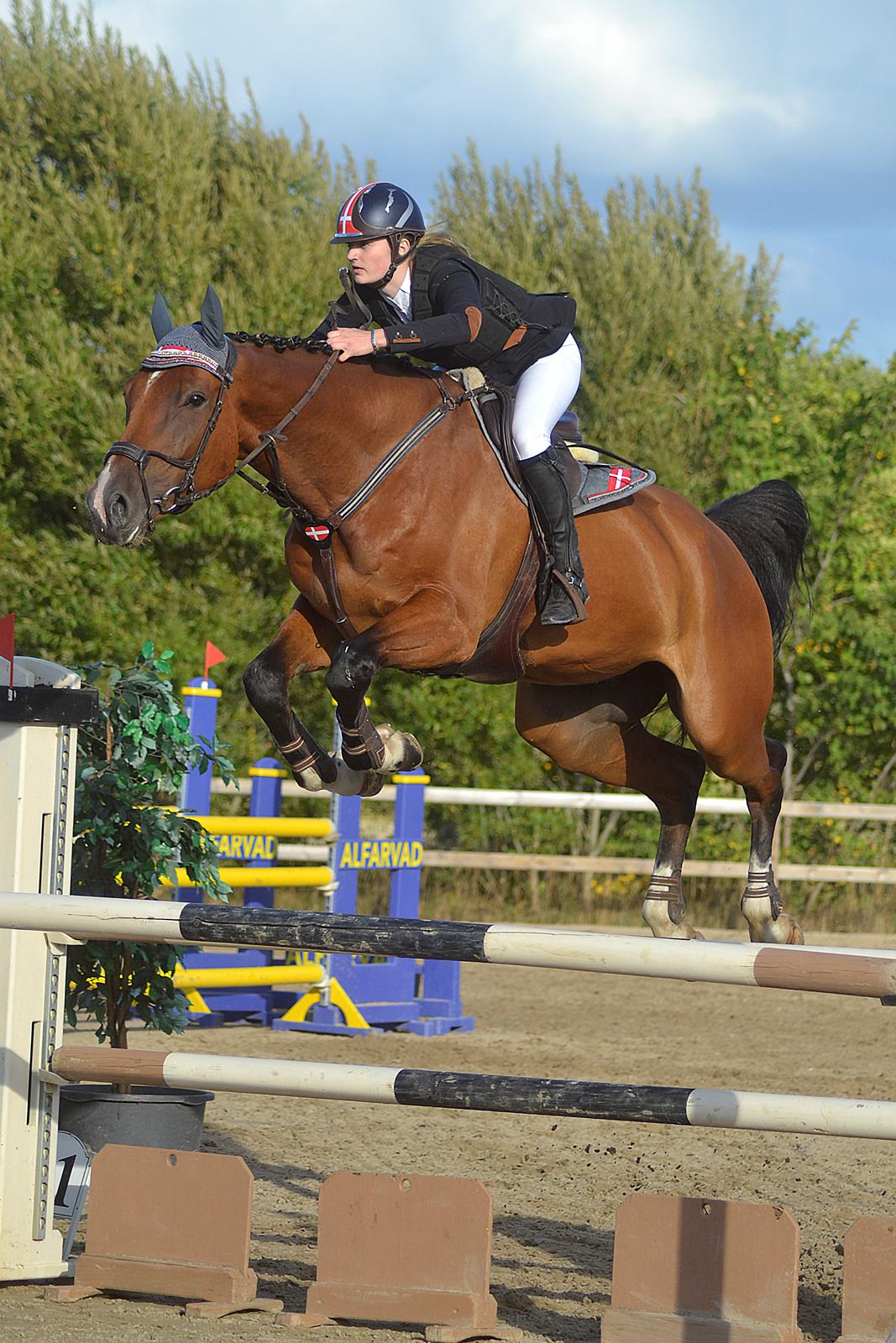 Oldenborg Wierze, ze moge latac billede 2