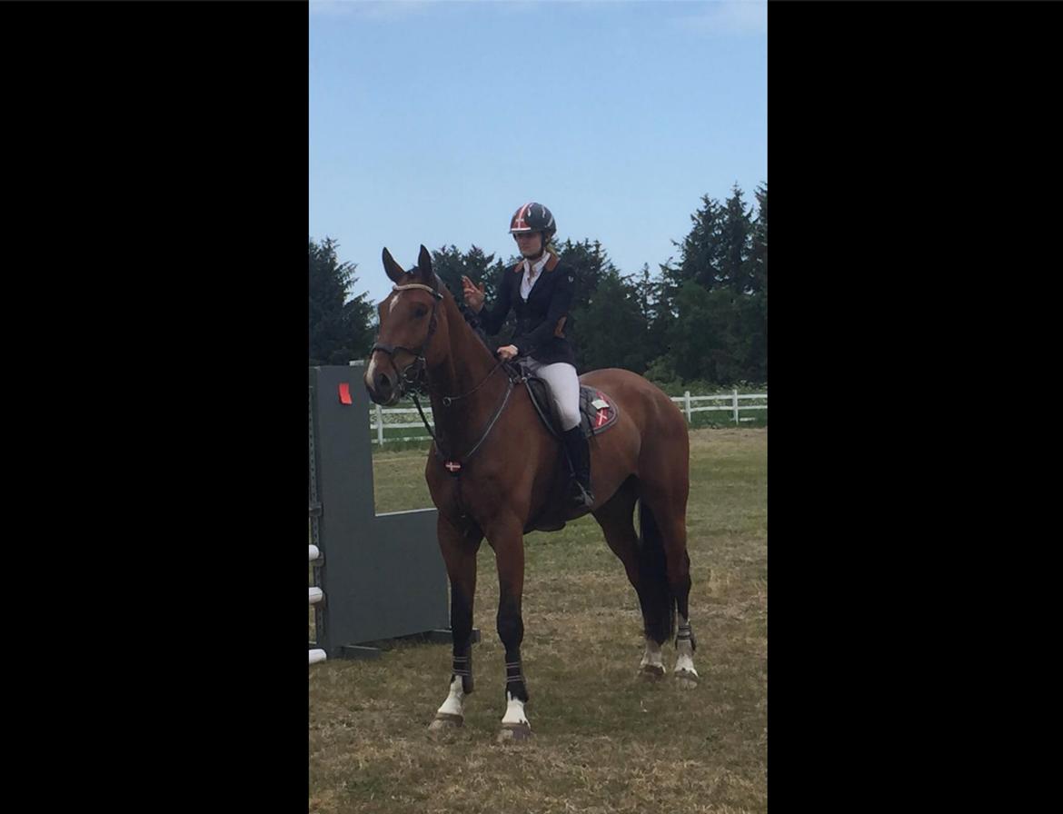 Oldenborg Wierze, ze moge latac billede 3