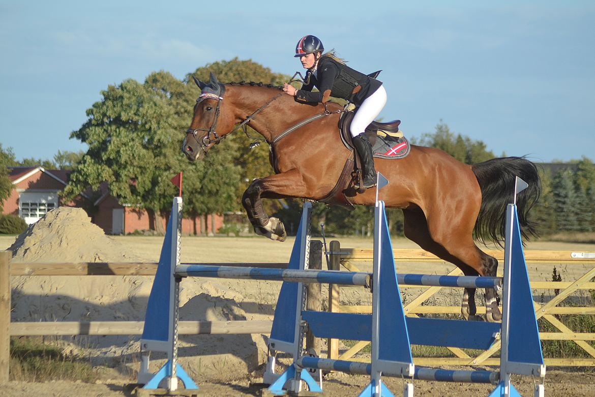 Oldenborg Wierze, ze moge latac billede 1