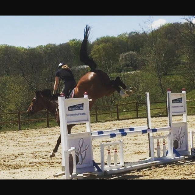 Oldenborg Wierze, ze moge latac billede 5