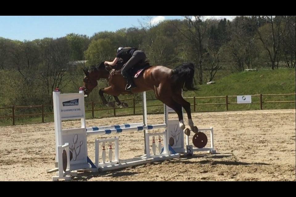 Oldenborg Wierze, ze moge latac billede 7