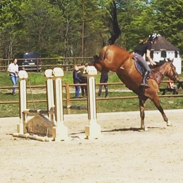 Oldenborg Wierze, ze moge latac billede 8