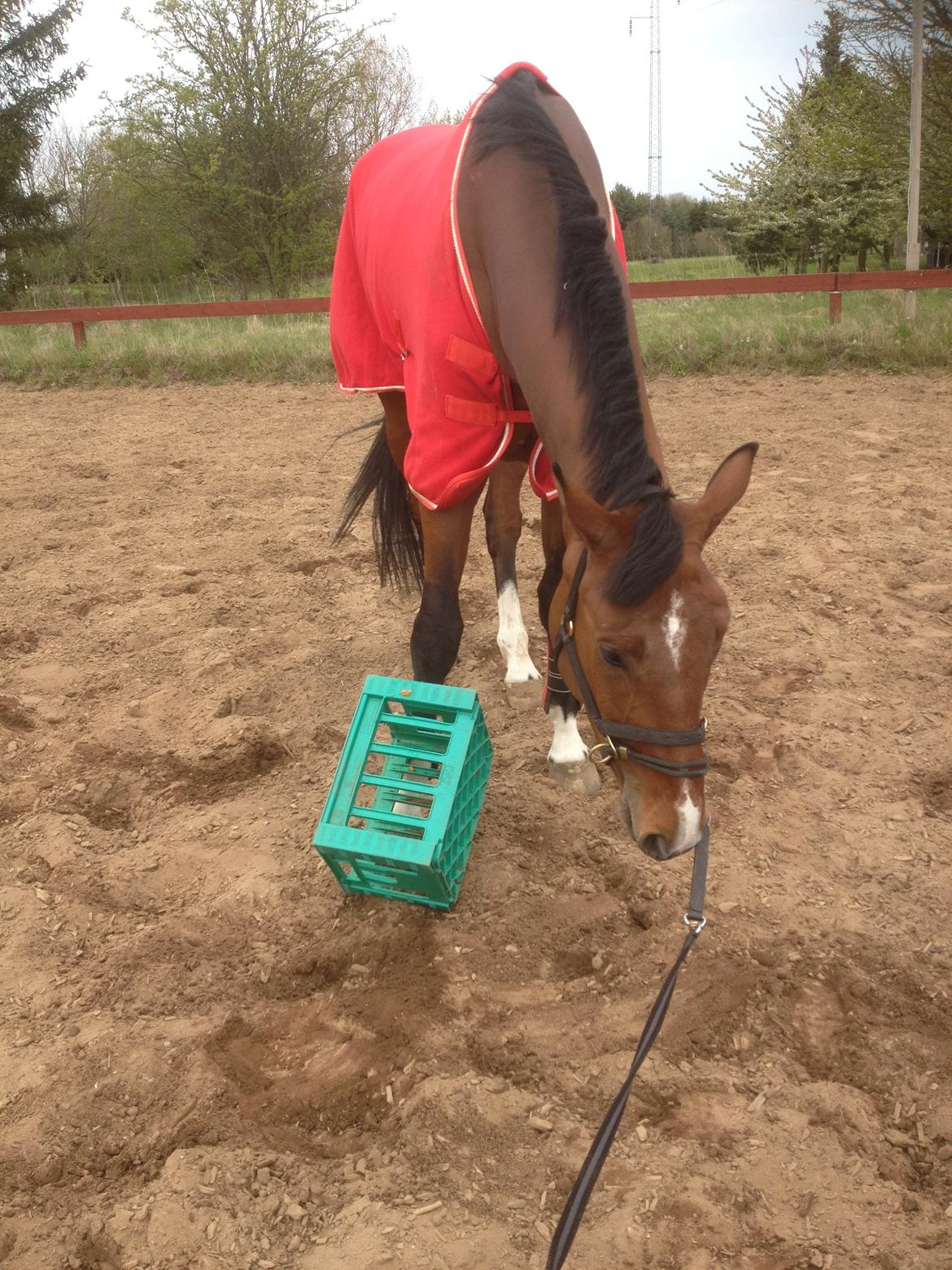 Oldenborg Wierze, ze moge latac billede 12