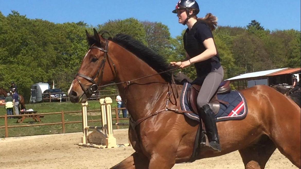 Oldenborg Wierze, ze moge latac billede 11