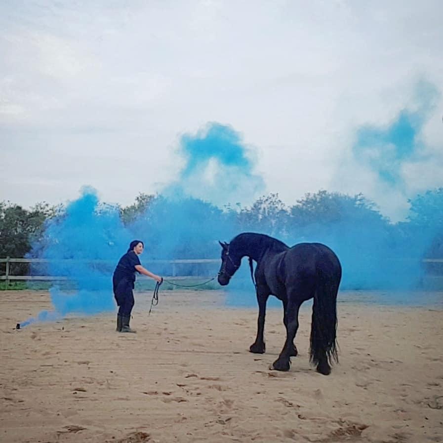 Frieser Migu van Årupgård - 5. september 2018 ... 2. røgbombe træning i hendes liv ... Fotograf: Screenshot fra video billede 13