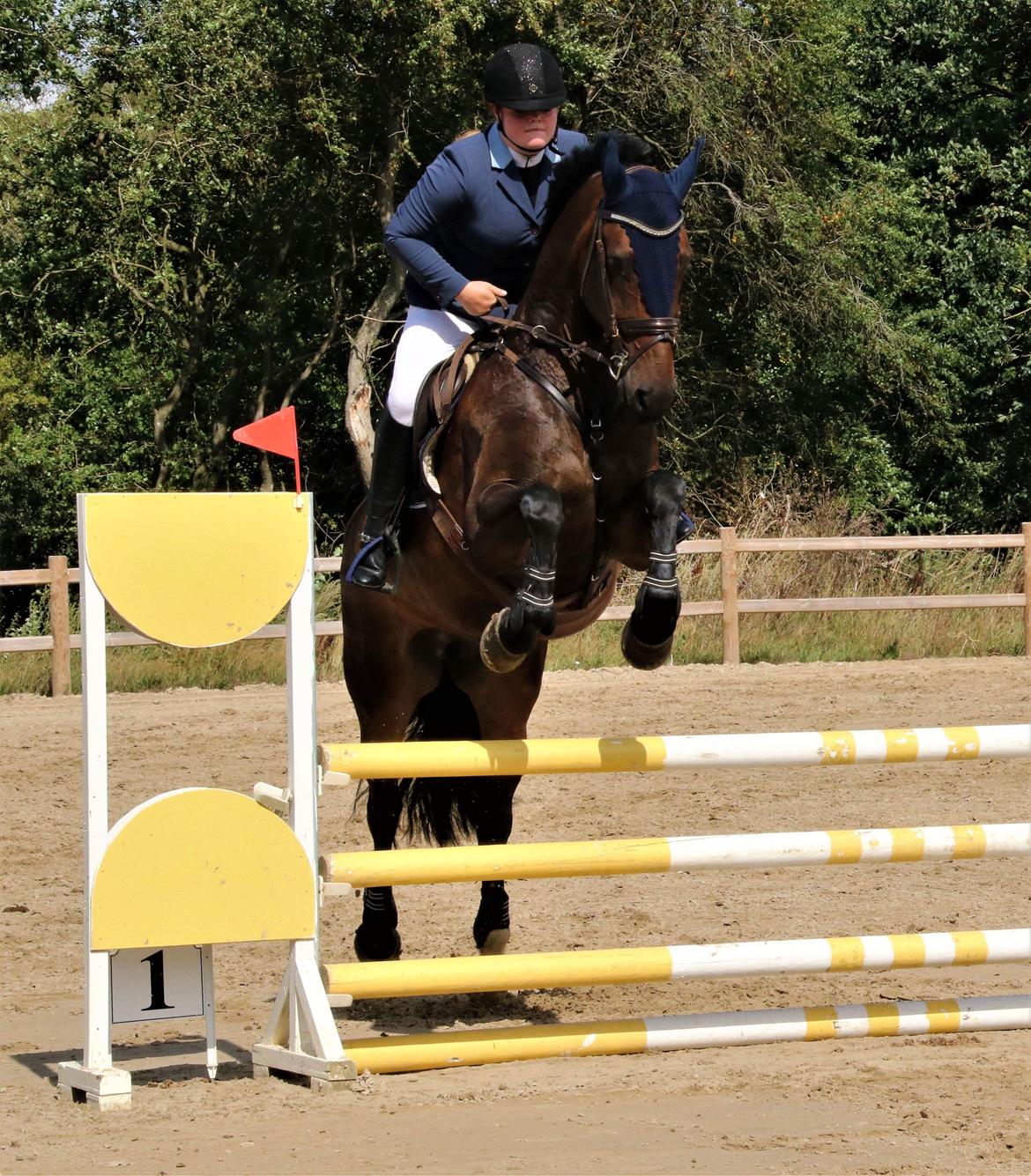 Anden særlig race Østmarks Margrethe  billede 1