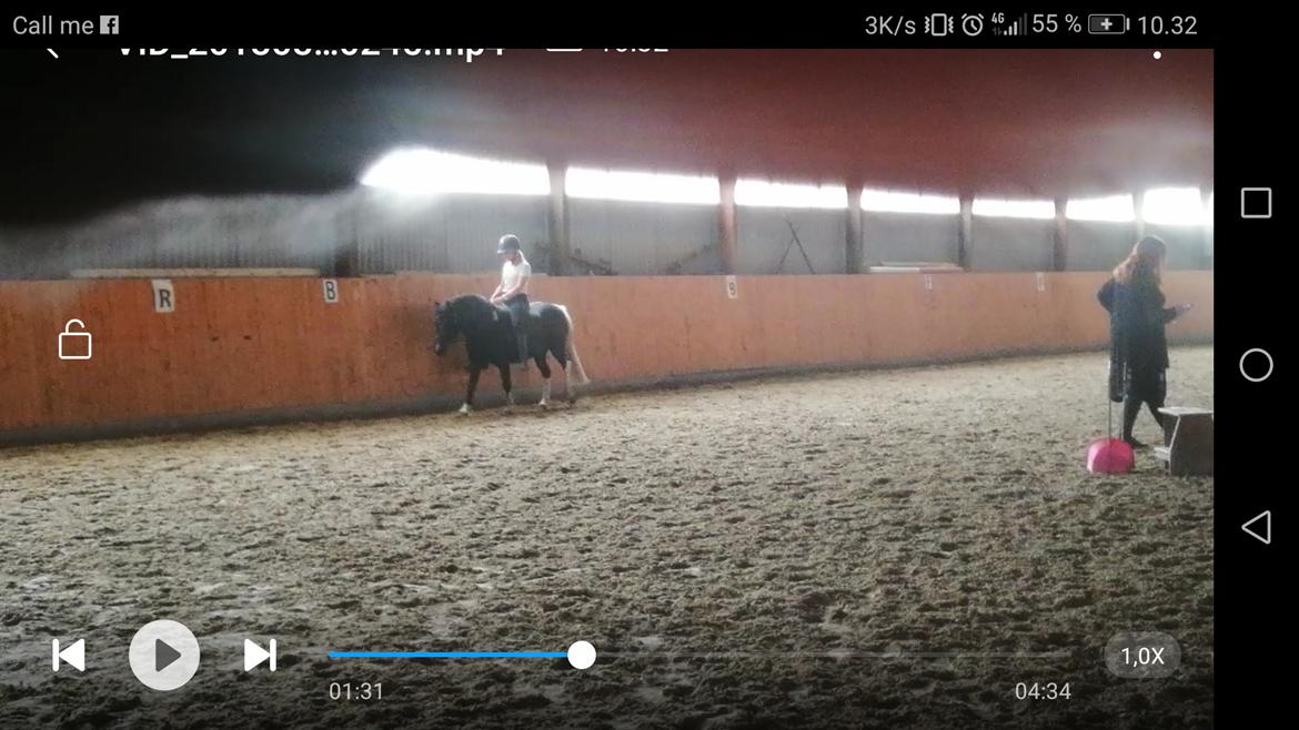 Anden særlig race Simba billede 4