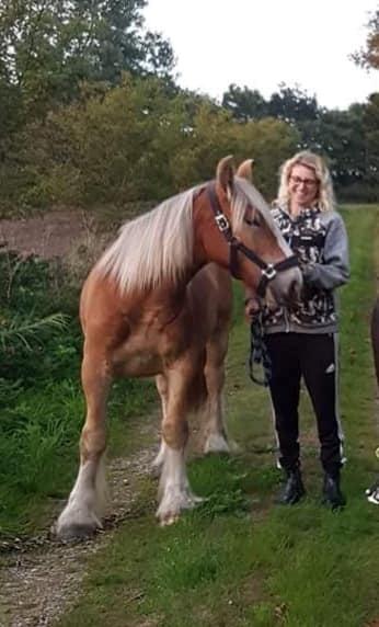 Jyde Triton Tindbæklund billede 6