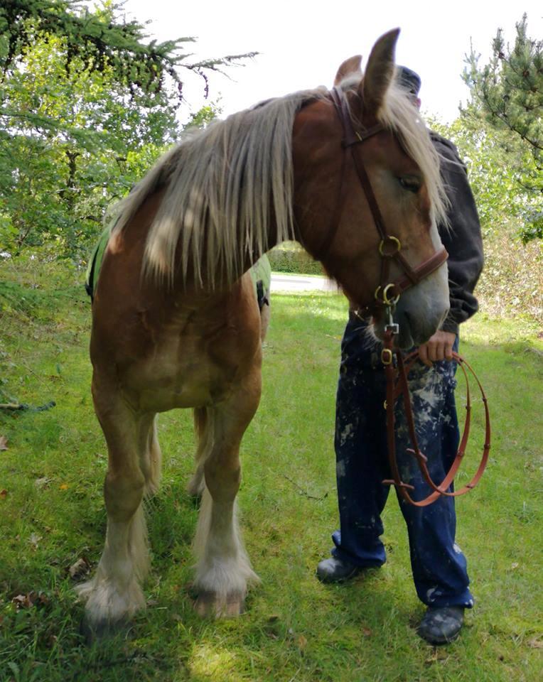 Jyde Triton Tindbæklund billede 7